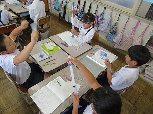 IMG_5775 IMG_5775
