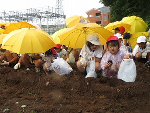IMG_5919 IMG_5919