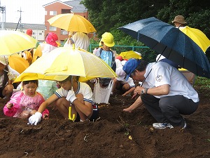IMG_5928 IMG_5928