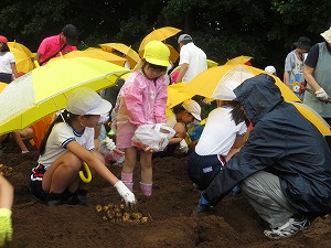 IMG_5934 IMG_5934