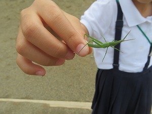 IMG_5946 IMG_5946