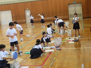 IMG_5950 IMG_5950