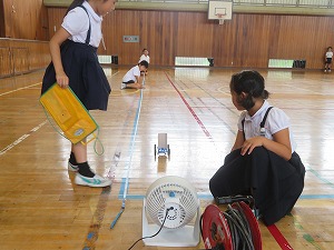 IMG_5952 IMG_5952