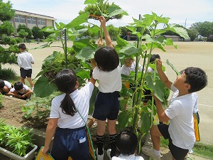 IMG_5991 IMG_5991