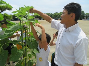 IMG_5992 IMG_5992