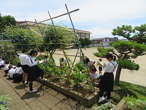 IMG_5981 IMG_5981