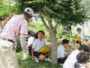 IMG_5988 IMG_5988