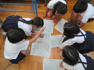 IMG_6039 IMG_6039