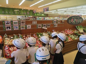 IMG_6071 IMG_6071