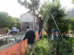 IMG_6613 IMG_6613