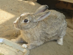IMG_6654 IMG_6654