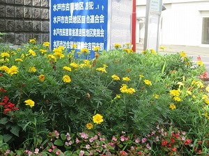 IMG_6659 IMG_6659