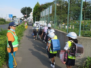 IMG_6719 IMG_6719
