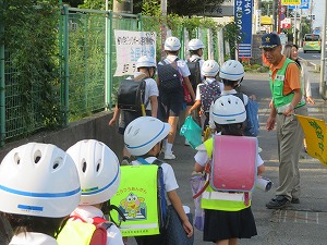 IMG_6722 IMG_6722