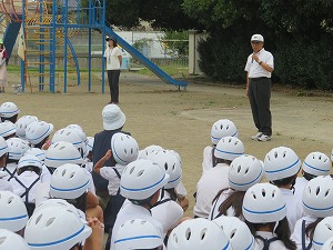 IMG_6775 IMG_6775