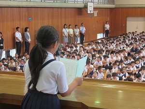 IMG_6729 IMG_6729