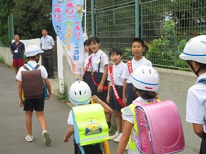IMG_6848 IMG_6848