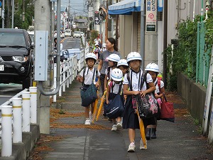 IMG_6929 IMG_6929