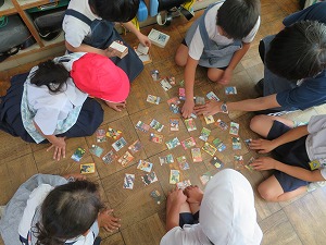 IMG_6980 IMG_6980