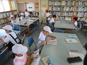 IMG_6986 IMG_6986
