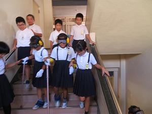 IMG_6954 IMG_6954