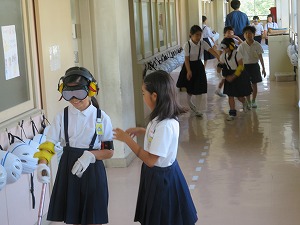 IMG_6956 IMG_6956