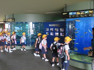 IMG_7030 IMG_7030