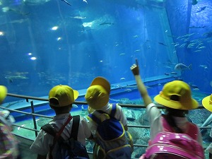 IMG_7039 IMG_7039