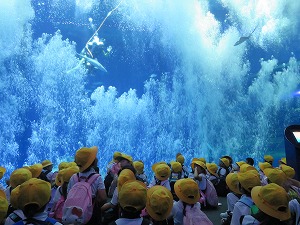 IMG_7052 IMG_7052