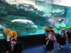IMG_7071 IMG_7071