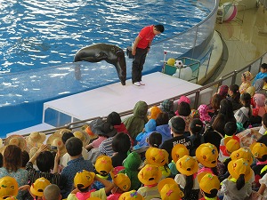 IMG_7090 IMG_7090