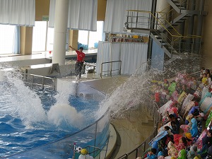 IMG_7116 IMG_7116
