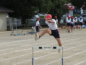 IMG_7166 IMG_7166