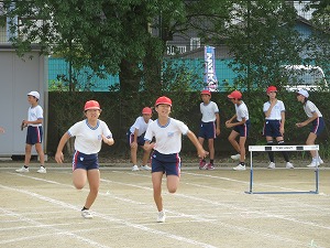 IMG_7170 IMG_7170