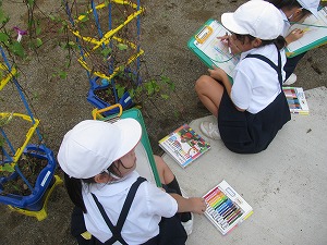 IMG_2597 IMG_2597