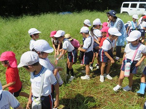 IMG_7222 IMG_7222