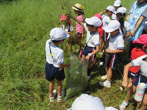 IMG_7223 IMG_7223