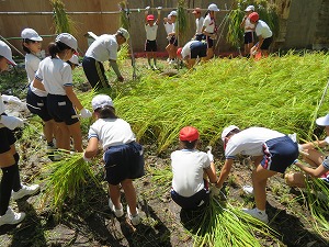 IMG_7209 IMG_7209