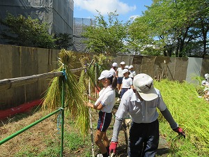 IMG_7211 IMG_7211