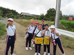 IMG_7363 IMG_7363