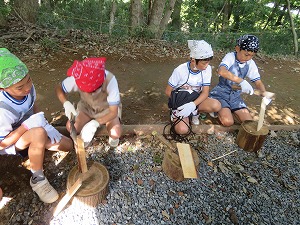 IMG_7442 IMG_7442