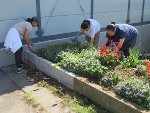 IMG_7478 IMG_7478