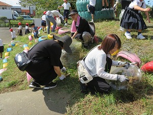 IMG_7484 IMG_7484