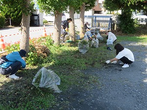 IMG_7479 IMG_7479