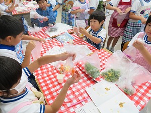 IMG_2310 IMG_2310