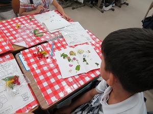 IMG_2320 IMG_2320
