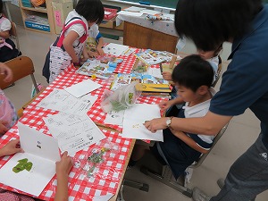 IMG_2324 IMG_2324