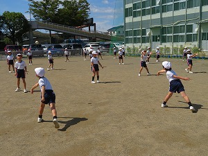 IMG_7130 IMG_7130