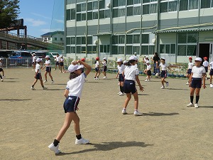 IMG_7495 IMG_7495