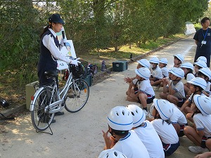 IMG_7694 IMG_7694